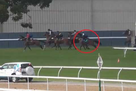 ‘I’ve never seen that in 40 years’ – Trainer embarrassed after horse jumps out with ‘fifth leg’