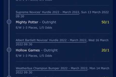 My friends thought I was mad but now I can win £167,000 Cheltenham Festival bet thanks to genius..