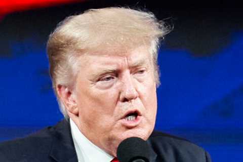 What the Trump Documents Might Tell the Jan. 6 Committee