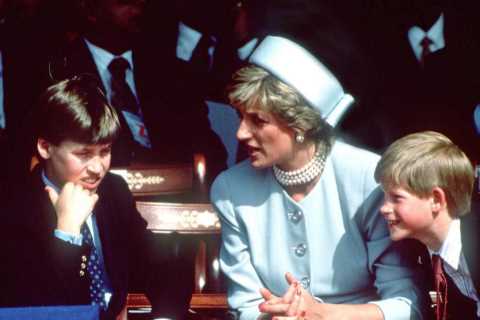 Prince Harry’s bold remark after Prince William told Princess Diana that he ‘didn’t want to be king’