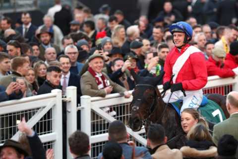 Huge Cheltenham Festival blow as favourite Ferny Hollow ruled OUT of Arkle by Willie Mullins