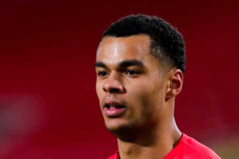 Arsenal in three-way Cody Gakpo transfer battle with Man City and Liverpool with PSV winger..