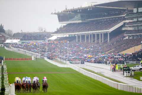 Cheltenham Festival: Sky Bet introduce first-of-its kind offer after going non-runner no bet on ALL ..