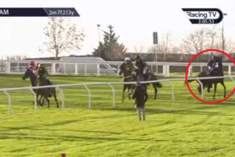 Watch Paisley Park win after giving rivals 20-length headstart, go WRONG way and be told to ‘give..