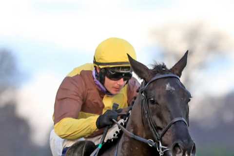 Punter panic as Ruby Walsh hints at change of plan for huge Cheltenham Festival favourite