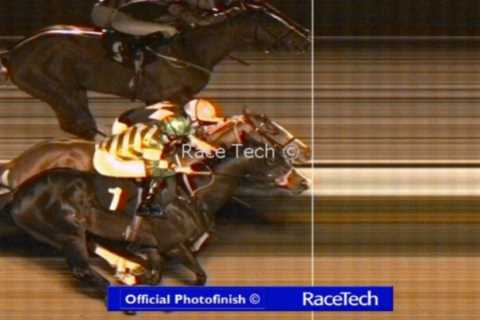 ‘In 42 years I have never seen that’ – Two-horse race subjected to 20-minute probe after..