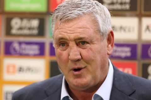 Steve Bruce will be named new West Brom manager job within DAYS just three months after Newcastle..