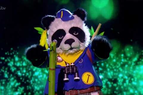 Masked Singer fans convinced huge US singer is Panda after spotting THREE clues