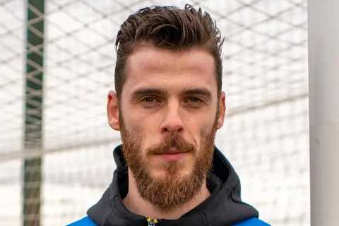 Man Utd star David de Gea is first keeper to win Premier League Player of the Month since Fraser..