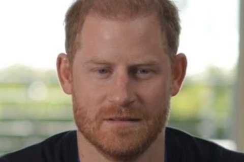 Millionaire Prince Harry moans about ‘hard days’ &amp; is ‘always kicking himself’, but ‘positive..