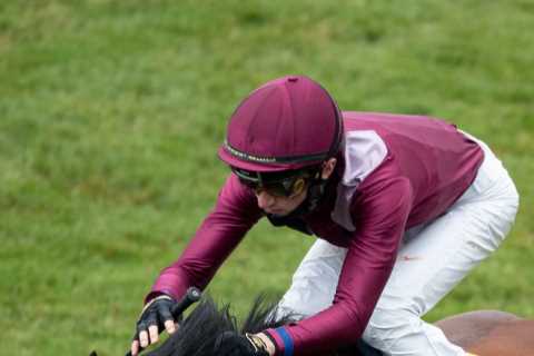 Excitement building for Saudi Cup as Mishriff bids to become highest earning horse ever in world’s..