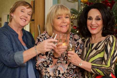 Birds of a Feather will ‘never return’ as show’s writer rules out doing more episodes