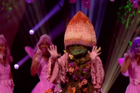 Masked Singer fans ‘even more convinced’ Mushroom is huge pop star after spotting ‘clue’ in this..