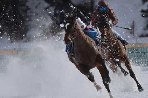 The world’s most incredible horse race takes place on a frozen lake and runners drag ‘jockeys’ on..