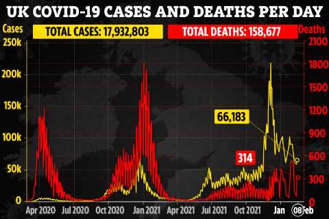 UK’s new daily Covid cases plummets by 40% in a week as deaths rise to 314