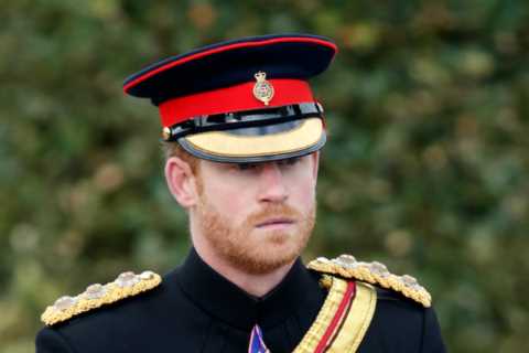 What Prince Harry REALLY thinks about stepmother Camilla as he keeps his silence on her new honour
