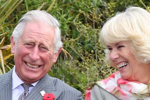 How Prince Charles turned to a Man Utd guru &amp; Labour lord to turn Camilla from public enemy No..