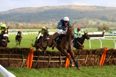 Ruby Walsh reveals the ‘forgotten’ horse punters are missing a trick not backing in the Cheltenham..
