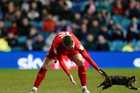Wigan defender Kerr makes touching gesture to cat after rescuing it from pitch in wake of..