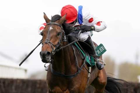 Trainer Dan Skelton not afraid of Irish as he prepares Protektorat and Nube Negra for Cheltenham..