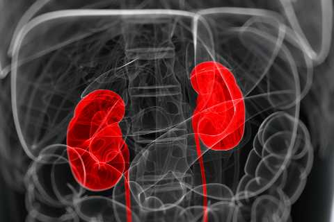 The 12 signs of kidney cancer you must never ignore – as HALF of cases caught too late