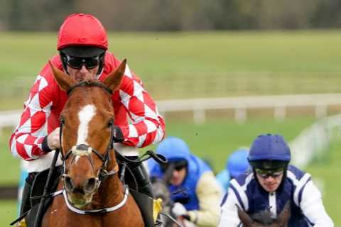 Huge boost for punters as Gordon Elliott backs Cheltenham Festival runner to defy massive market..