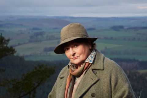 Vera’s Brenda Blethyn confirms fate of ITV series after episodes pulled off air – leaving fans livid