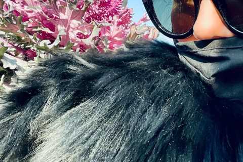 Inside Anna Delvey’s life after jail where she compared herself to Meghan Markle and flaunted..