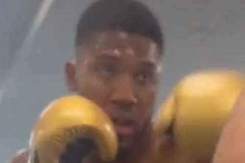 Anthony Joshua plays the ‘fun uncle’ as he and his family enjoy day of watersports on holiday..