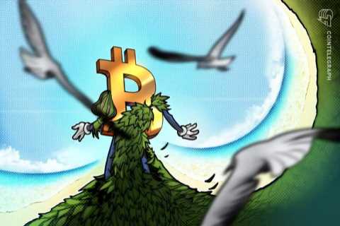 Sustainable Bitcoin miner uses waste heat to dry wood 