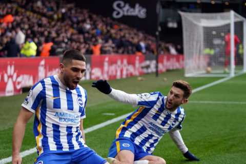 Watford 0 Brighton 2: Roy Hodgson slumps to defeat in home debut as Hornets take another step..