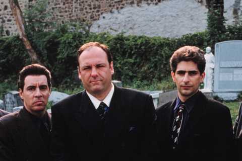 Where the Sopranos cast is now, from award- winning film roles to addiction battles and rehab