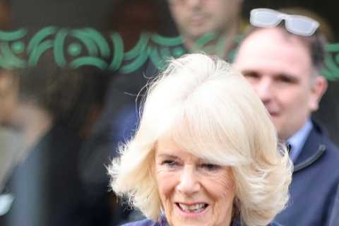 Camilla has Covid: Duchess of Cornwall, 74, tests positive for bug days after Prince Charles caught ..