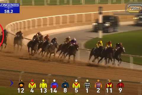 The Ivan Drago of racing – bizarre story of the ‘Russian Rocket’ horse who never loses despite..