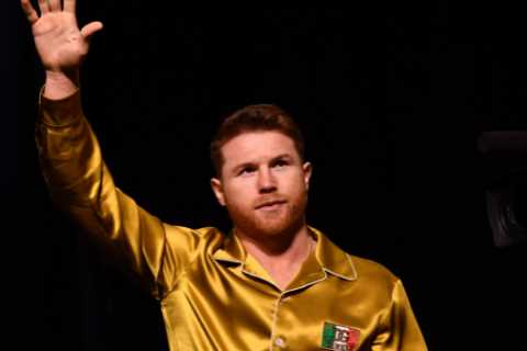 Boxing’s highest-paid fighter Canelo Alvarez set to launch TACO restaurant in America with brother..