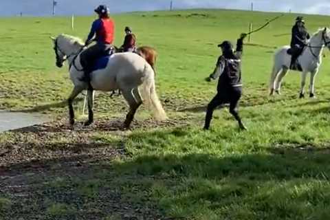 Mark Todd steps down as patron of horse charity and BHA opens probe after video of him whipping..