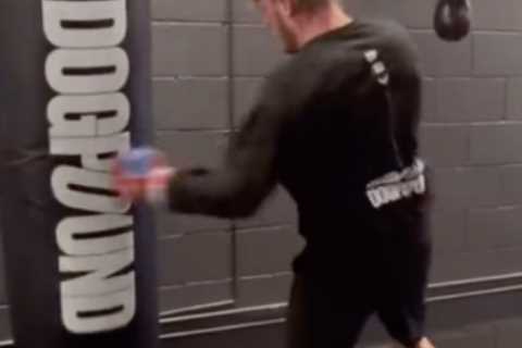 Watch Logan Paul back in boxing training after YouTuber confirms he REJECTED rematch with ‘scumbag’ ..