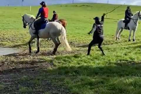 Sir Mark Todd banned from racing after horrific video of him hitting a horse with a branch