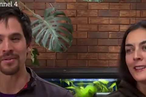 Kirstie and Phil’s Love it or List it viewers left fuming by ‘disgusting animal abuse’ in couple’s..