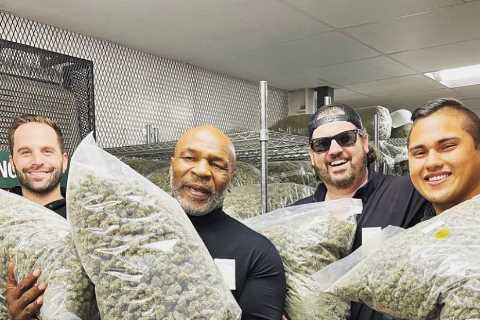 Mike Tyson struggles with industrial-sized weed bags as boxing legend visits his new partners in..