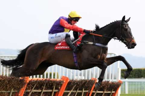 Defending champ Dashel Drasher – described as “relentless” by trainer – heads star-studded Ascot..