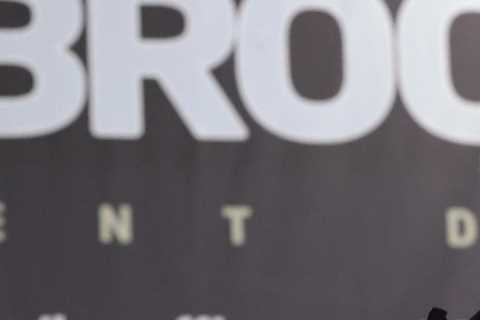 Amir Khan vs Kell Brook predictions: Boxing world make their picks for huge grudge fight including..