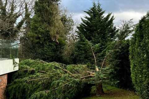Arsenal star Bernd Leno’s house hit by falling TREE after Storm Eunice smashes through the UK
