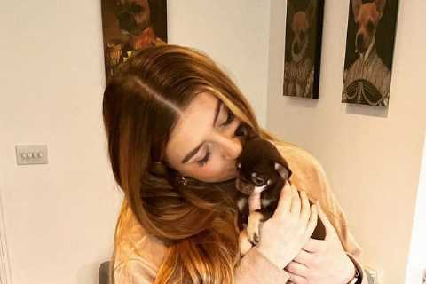 Gogglebox’s Izzi Warner introduces fans to adorable new pup Cookie after dogs drank from her and..