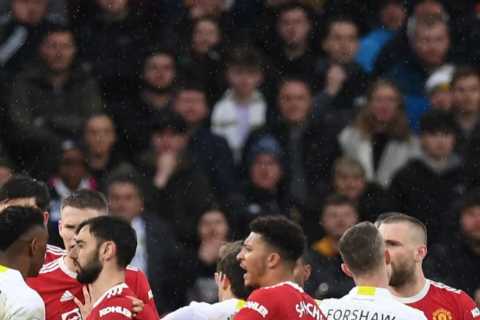Man Utd and Leeds stars push and shove each other in huge row before Rangnick runs on pitch to..