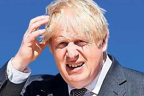 Here is the right road for our drifting PM, says Lord Frost