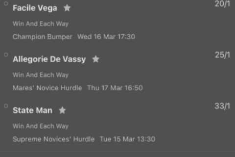 Cheltenham Festival punter reveals absolutely massive bet that pays over half a million quid..
