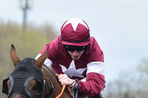 Matt Chapman: Drug claims in Irish racing a mess &amp; why BHA may have new rule after Tiger Roll..