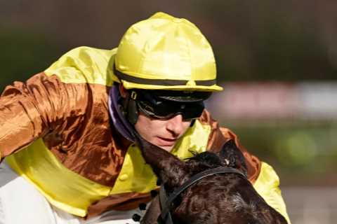 Willie Mullins’ Cheltenham Festival bombshell for punters forces bookies to slash odds on key runner