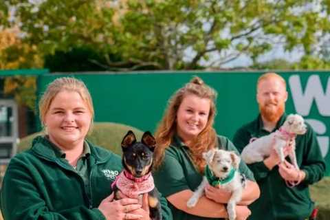 Who runs The Dog House animal charity?